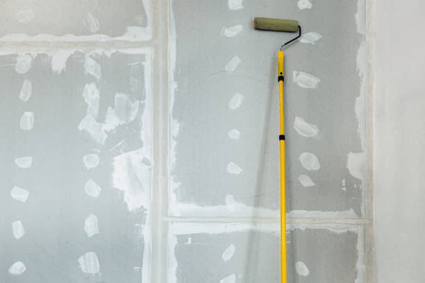 Mold Removal for HVAC Installations in Gilbert, IA