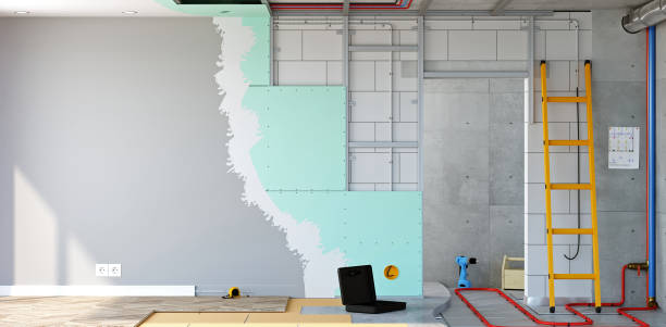 Forensic Mold Investigation in Gilbert, IA
