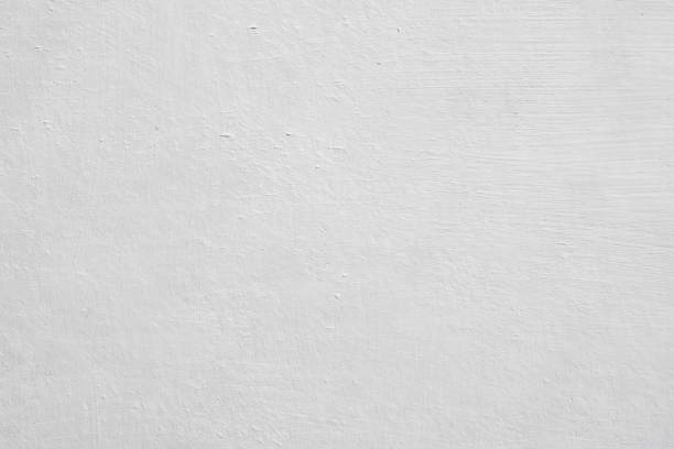 Gilbert, IA Mold Removal Company