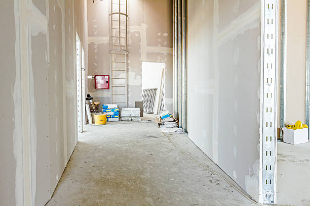 Best Mold Odor Removal Services  in Gilbert, IA